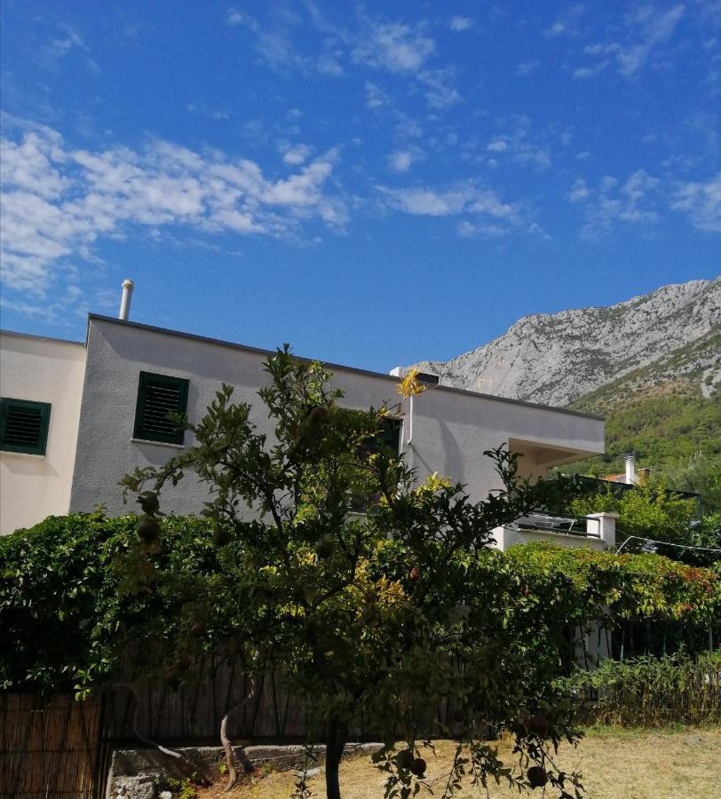 Apartmani Laguna Gradac  Exterior photo